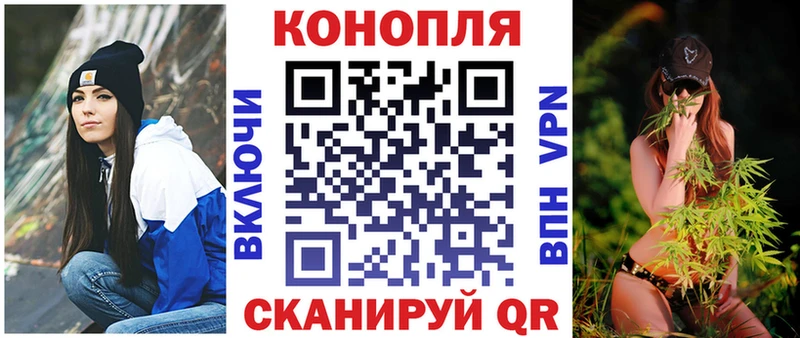 Каннабис планчик Дегтярск